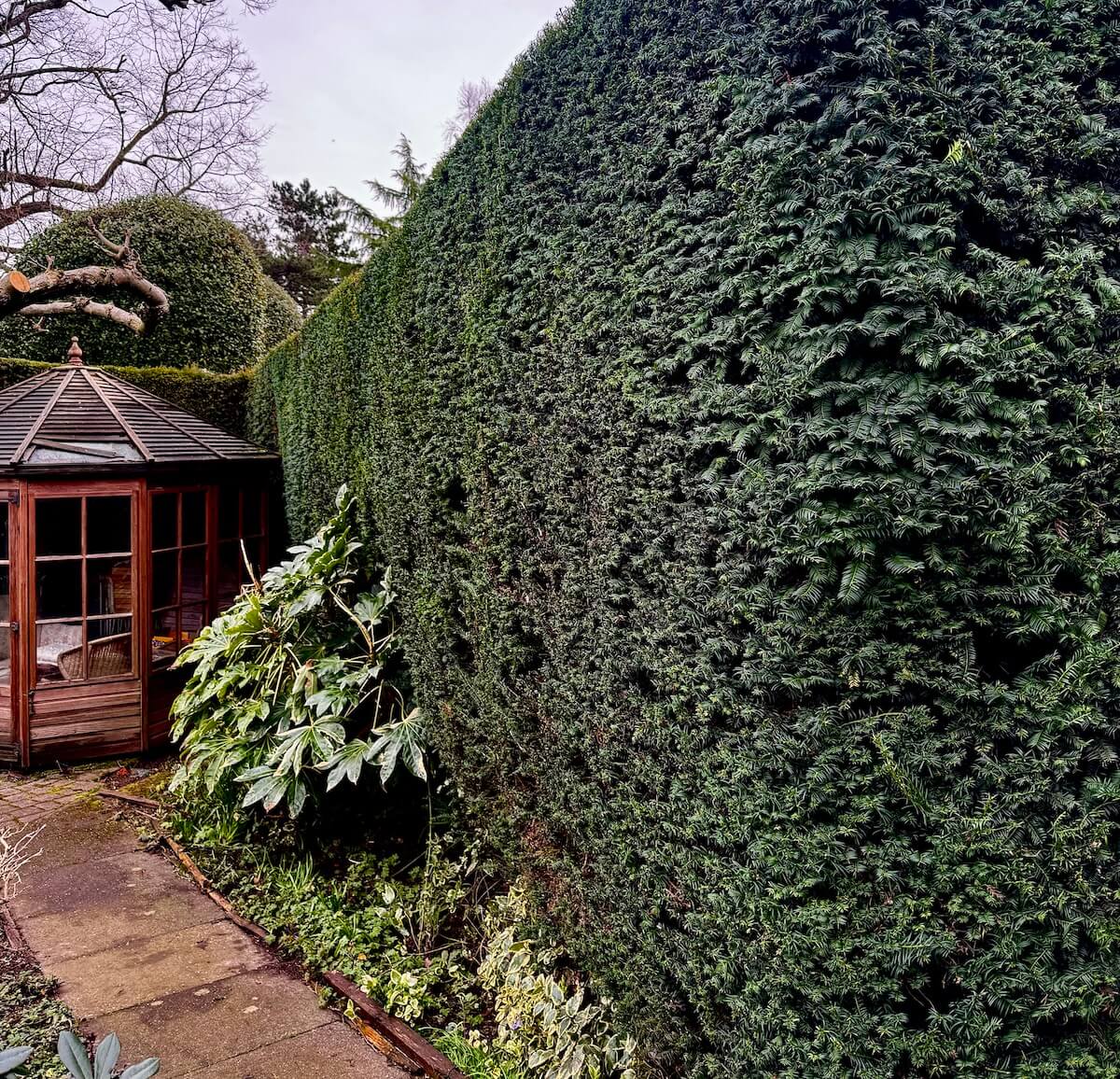 Hedge Cutting & Maintenance