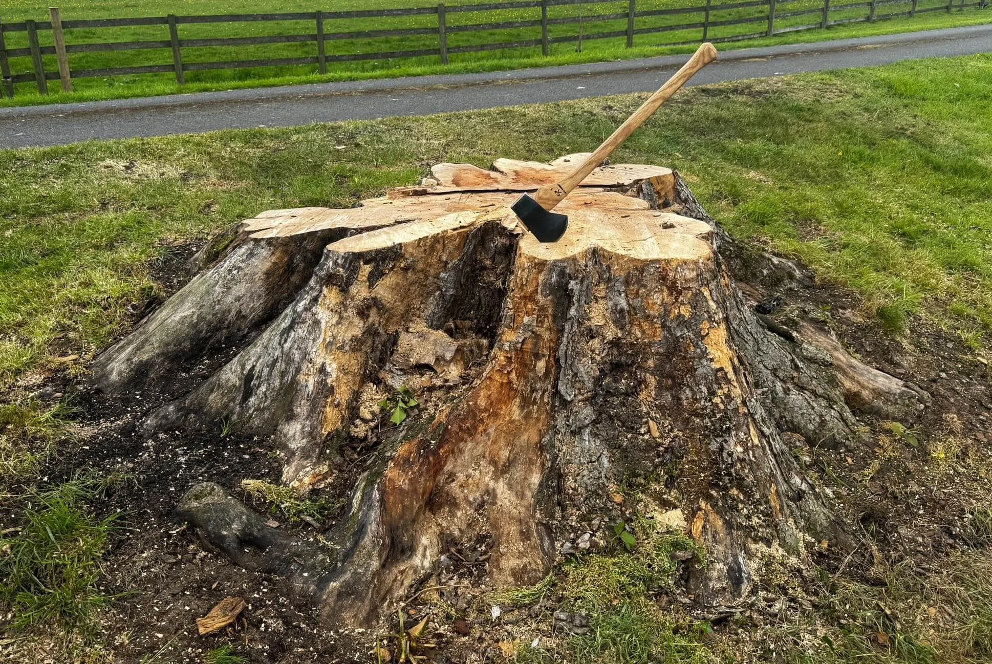 Stump Grinding